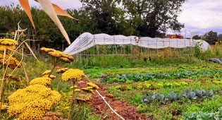 Basaldea: Parcelas agrícolas para el emprendizaje y el autoempleo en agricultura ecológica en Vitoria-Gasteiz